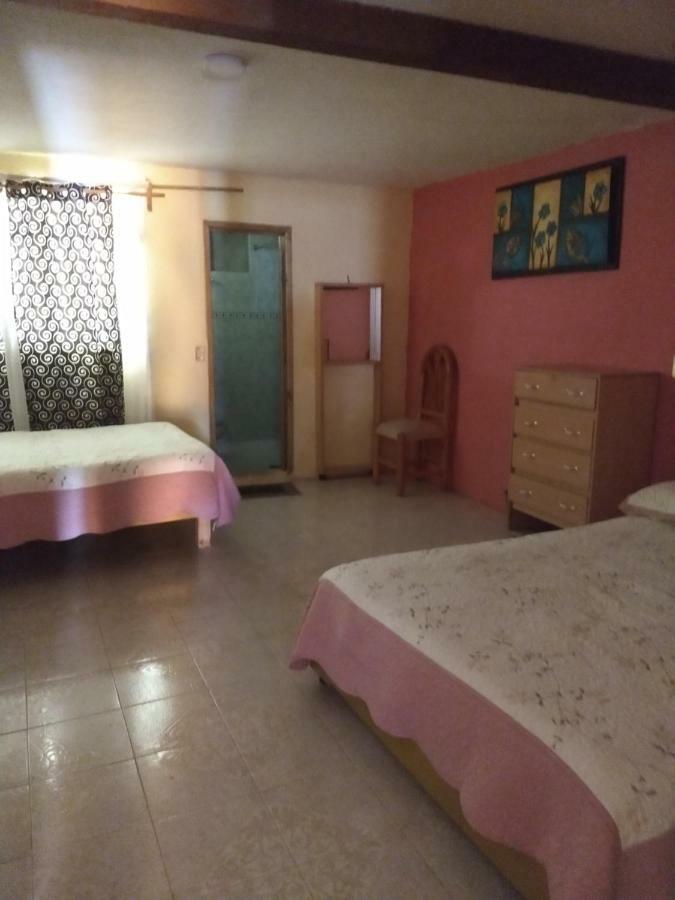 El Paraiso De Zacatlan Departamento Con Jardin, 11 Pax Exteriör bild